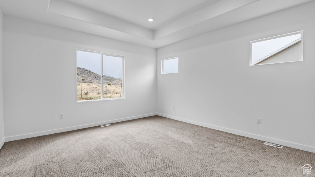 Spare room with light colored carpet and a tray ceiling
