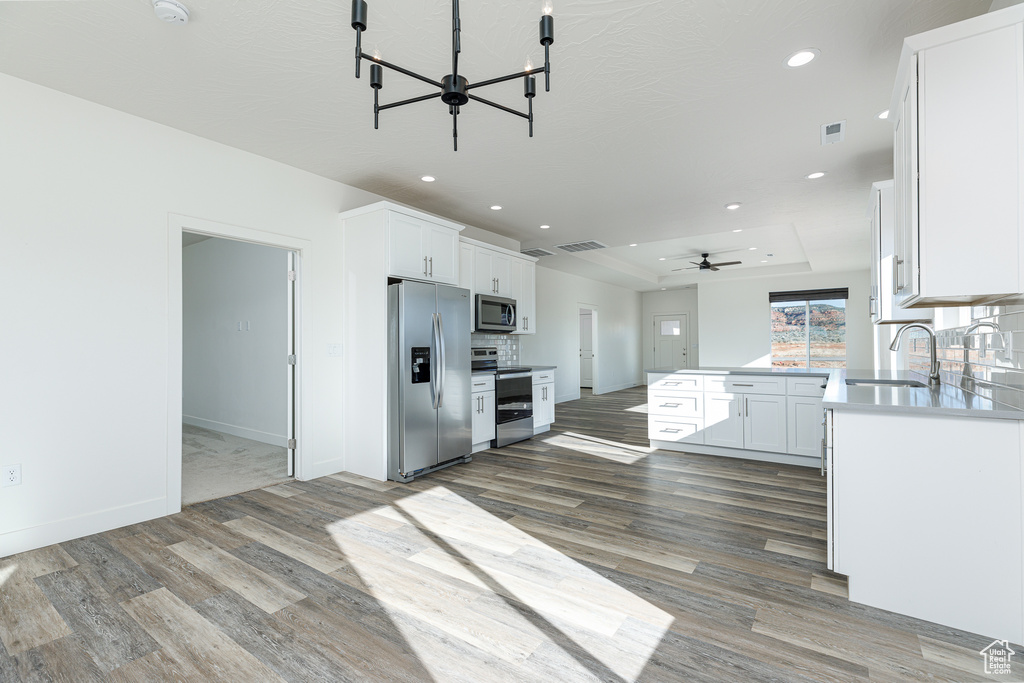 Kitchen with a tray ceiling, stainless steel appliances, white cabinetry, and dark hardwood / wood-style flooring