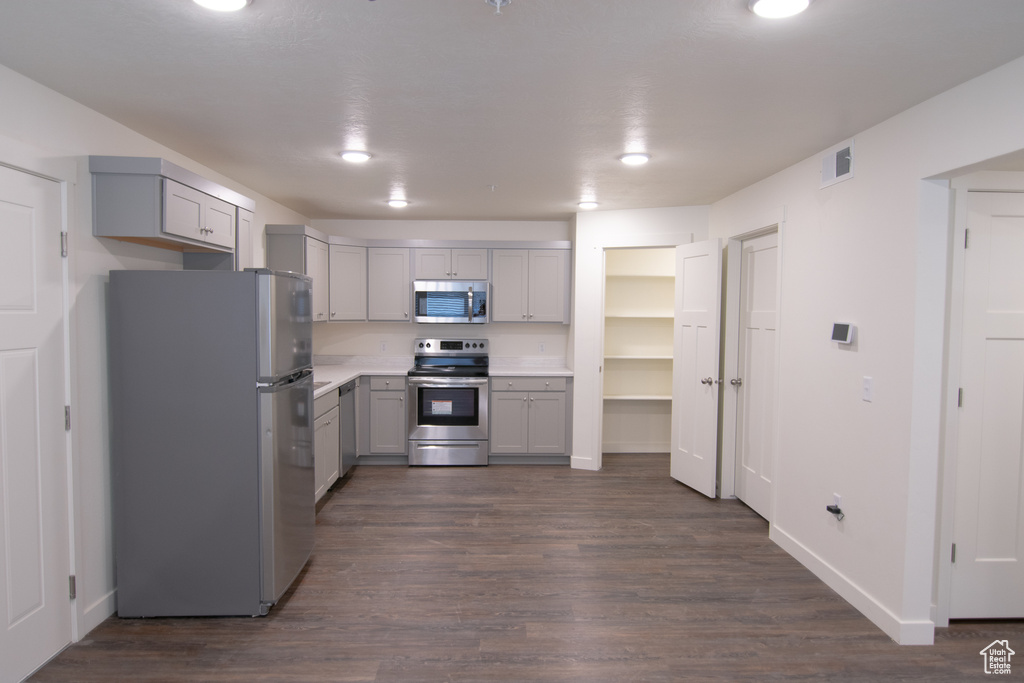 Kitchen with gray cabinetry, stainless steel appliances, and dark wood-type flooring