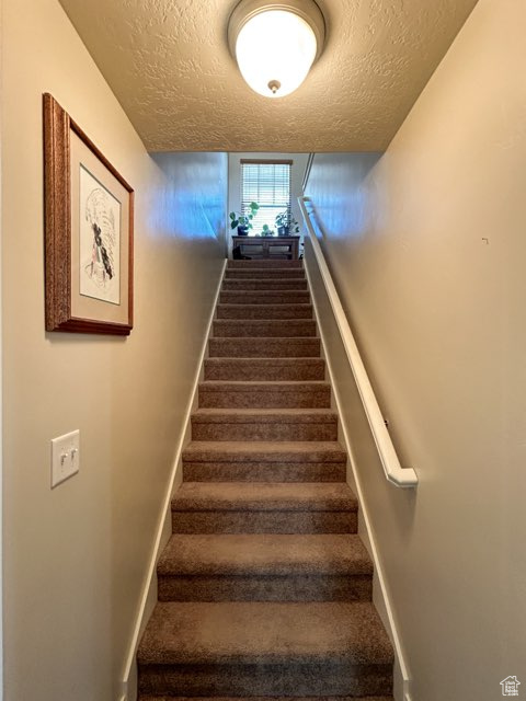 Stairway with a textured ceiling and carpet