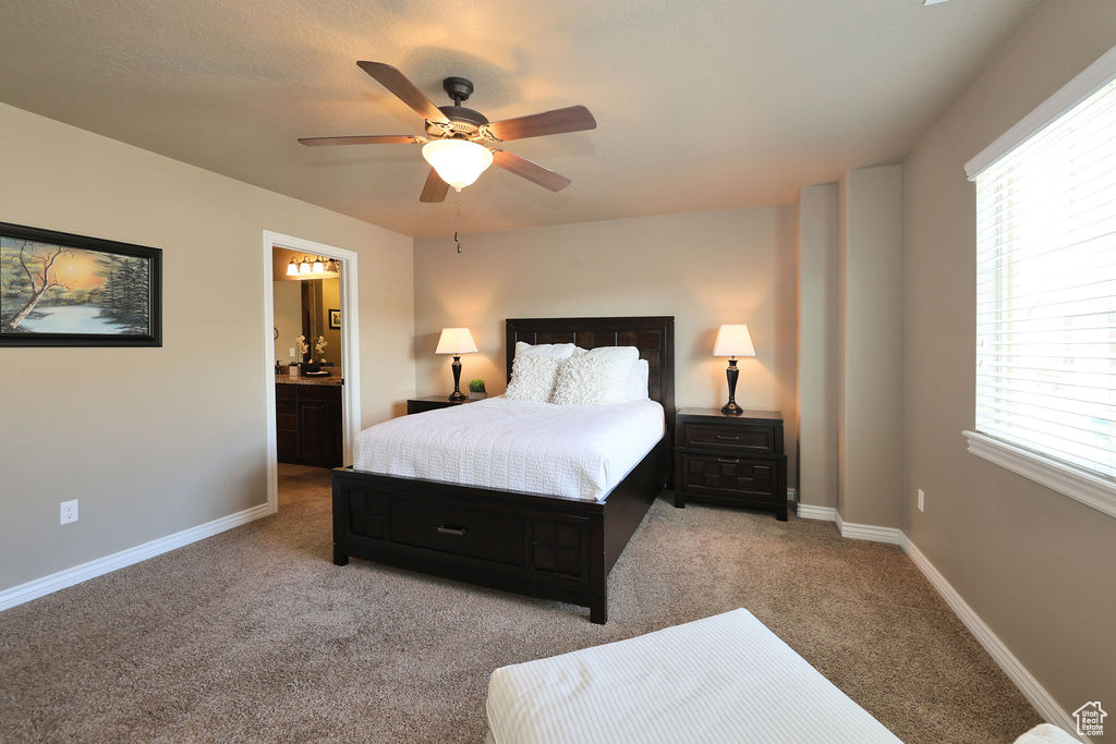 Carpeted bedroom with multiple windows, ceiling fan, and ensuite bathroom