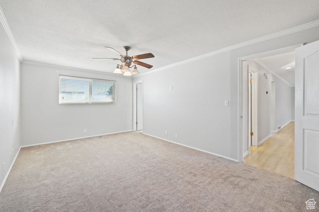 Spare room with light carpet, a textured ceiling, ceiling fan, and ornamental molding