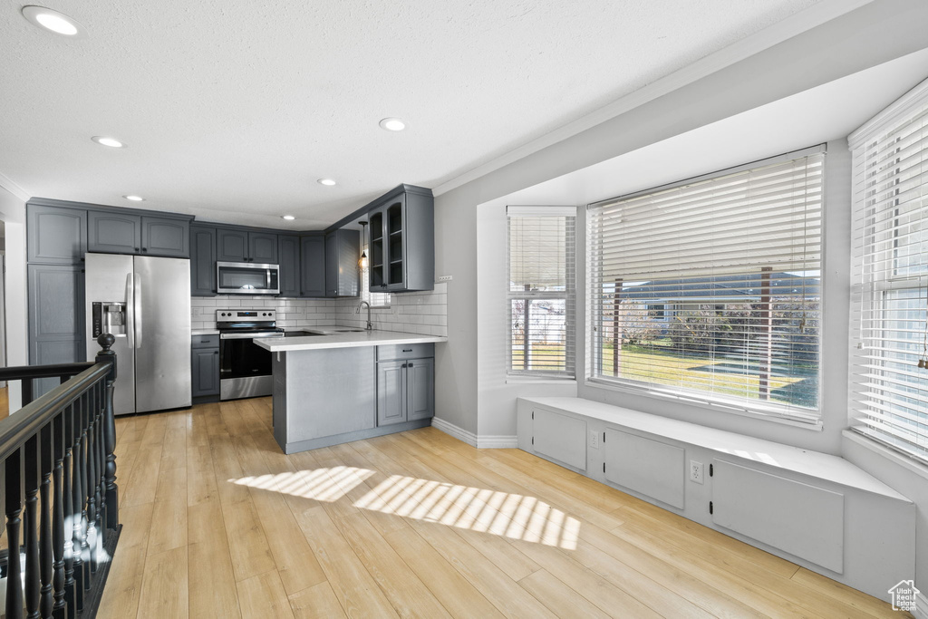 Kitchen featuring stainless steel appliances, a healthy amount of sunlight, gray cabinets, and light hardwood / wood-style flooring