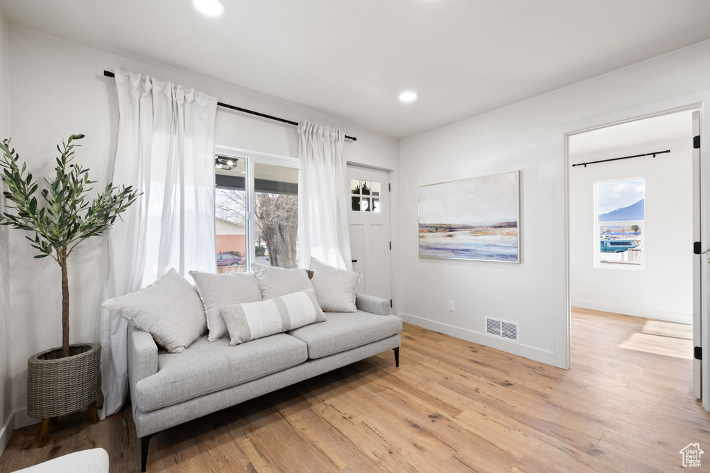 Living room featuring plenty of natural light and light hardwood / wood-style floors