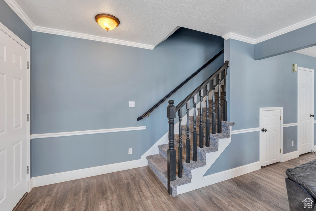 Stairway featuring ornamental molding, a textured ceiling, and dark wood-type flooring