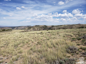 View of local wilderness