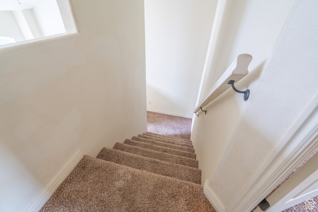 Staircase with carpet floors