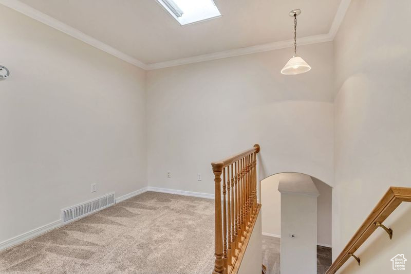 Interior space featuring light carpet, a skylight, and crown molding