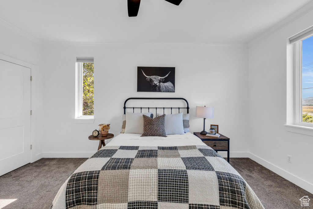 Bedroom with crown molding, ceiling fan, and dark colored carpet