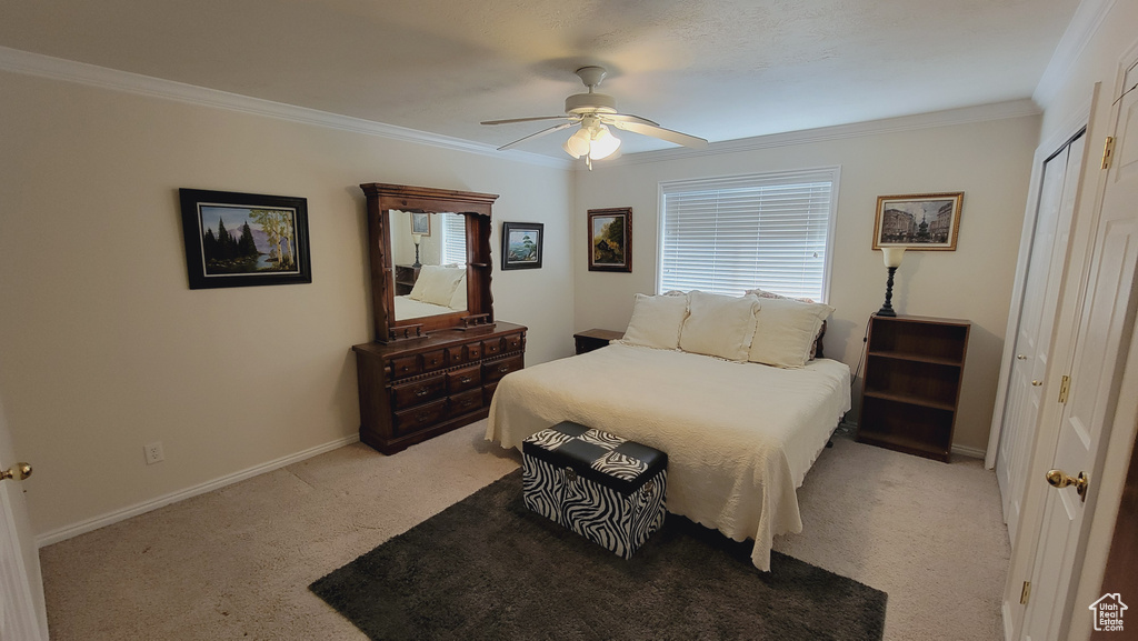 Carpeted bedroom featuring a closet, multiple windows, crown molding, and ceiling fan