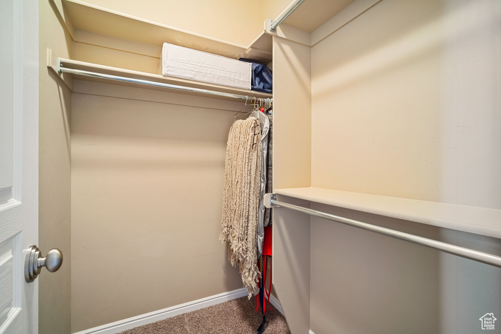 Spacious closet featuring dark carpet