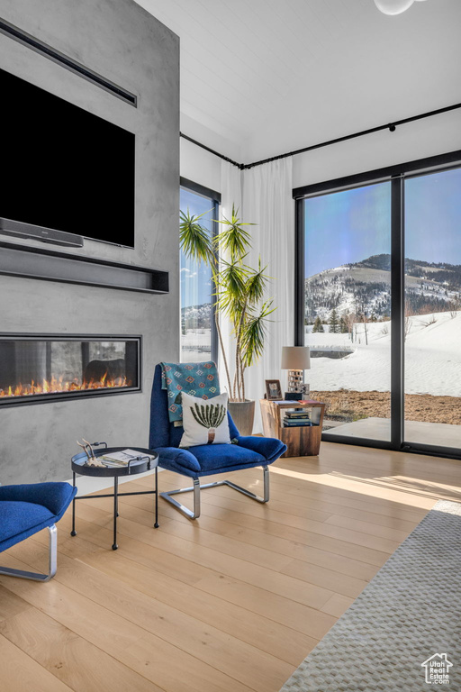 Living room featuring a mountain view, a fireplace, and light hardwood / wood-style flooring