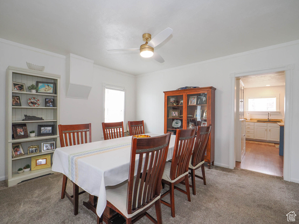 Carpeted dining space featuring sink, crown molding, ceiling fan, and a wealth of natural light