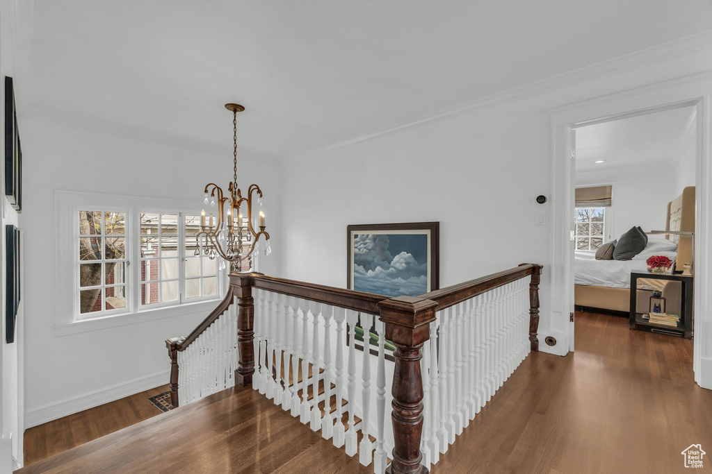 Hall with crown molding, dark hardwood / wood-style floors, an inviting chandelier, and a healthy amount of sunlight