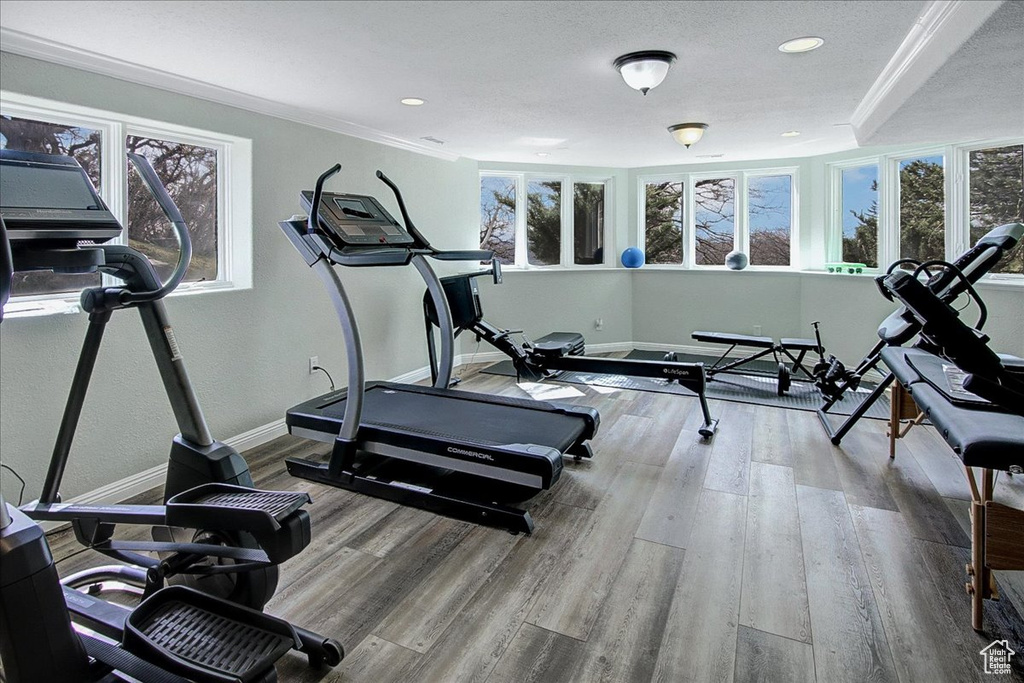 Workout area with ornamental molding and light hardwood / wood-style flooring