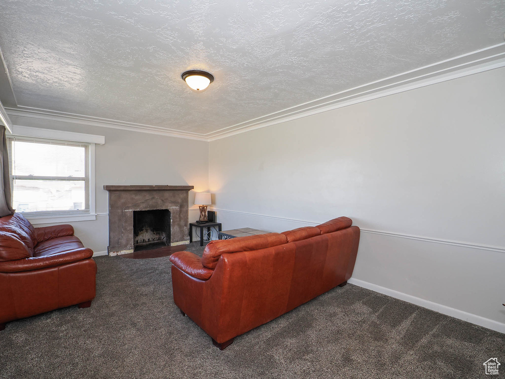 Carpeted living room with crown molding and a textured ceiling