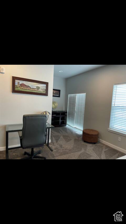 Office space featuring dark carpet