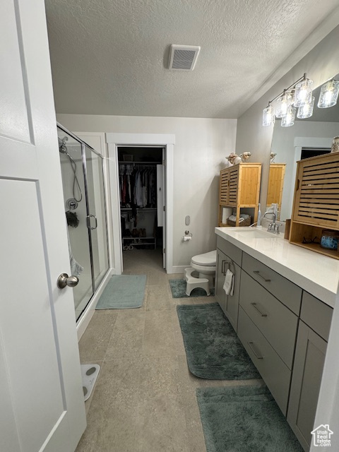 Bathroom with vanity, a textured ceiling, toilet, and walk in shower