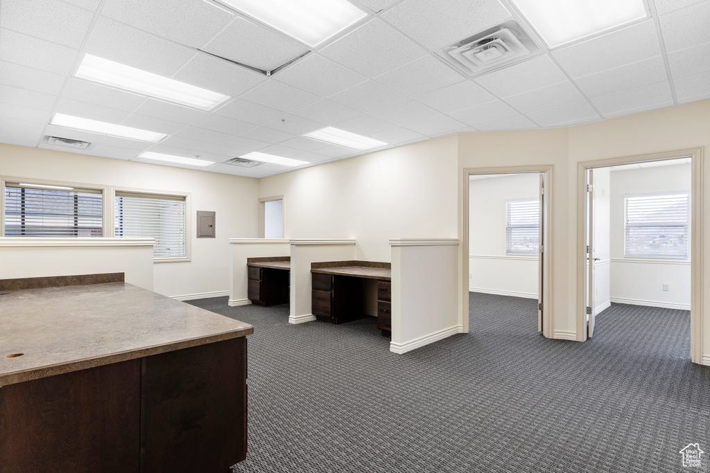Unfurnished office featuring a drop ceiling and dark carpet