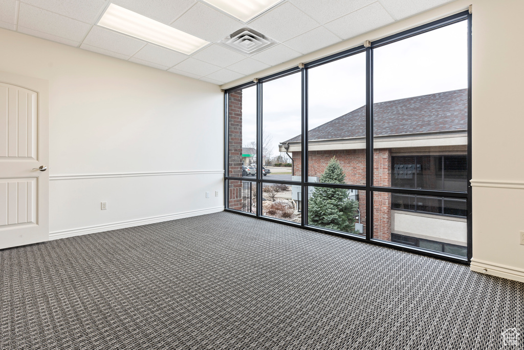Carpeted empty room featuring plenty of natural light, a drop ceiling, and a wall of windows