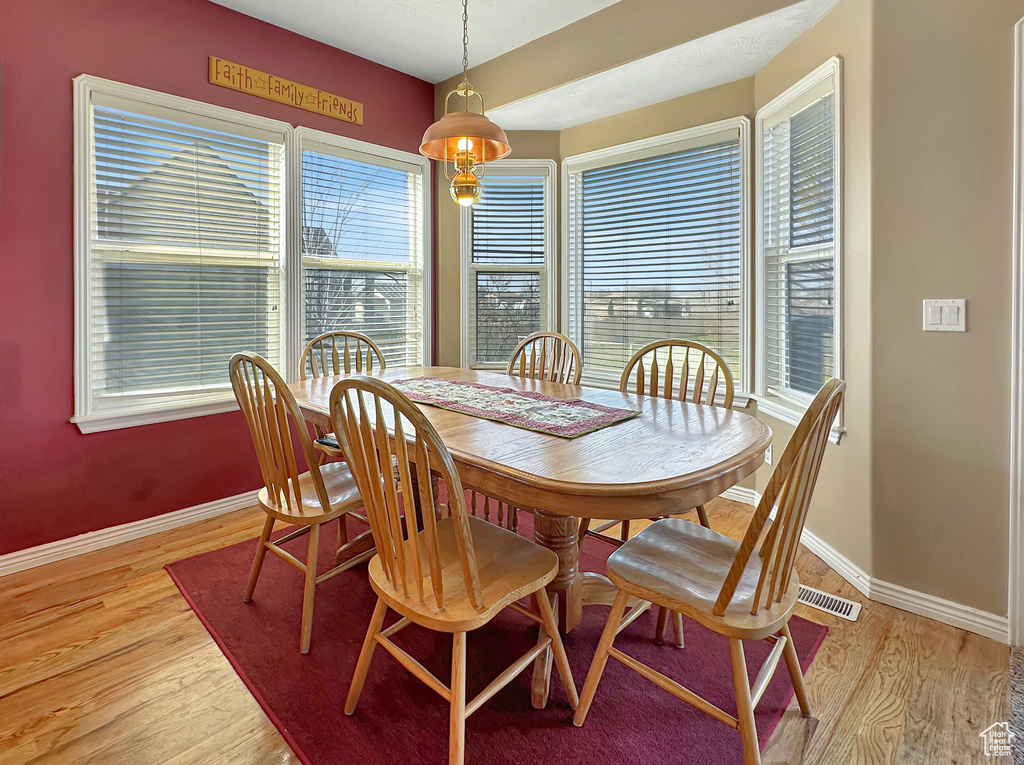 Dining room with plenty of natural light and light hardwood / wood-style floors