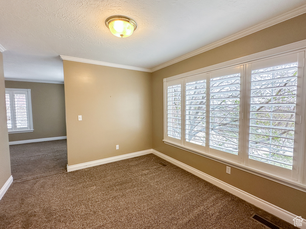 Carpeted empty room featuring a textured ceiling and crown molding