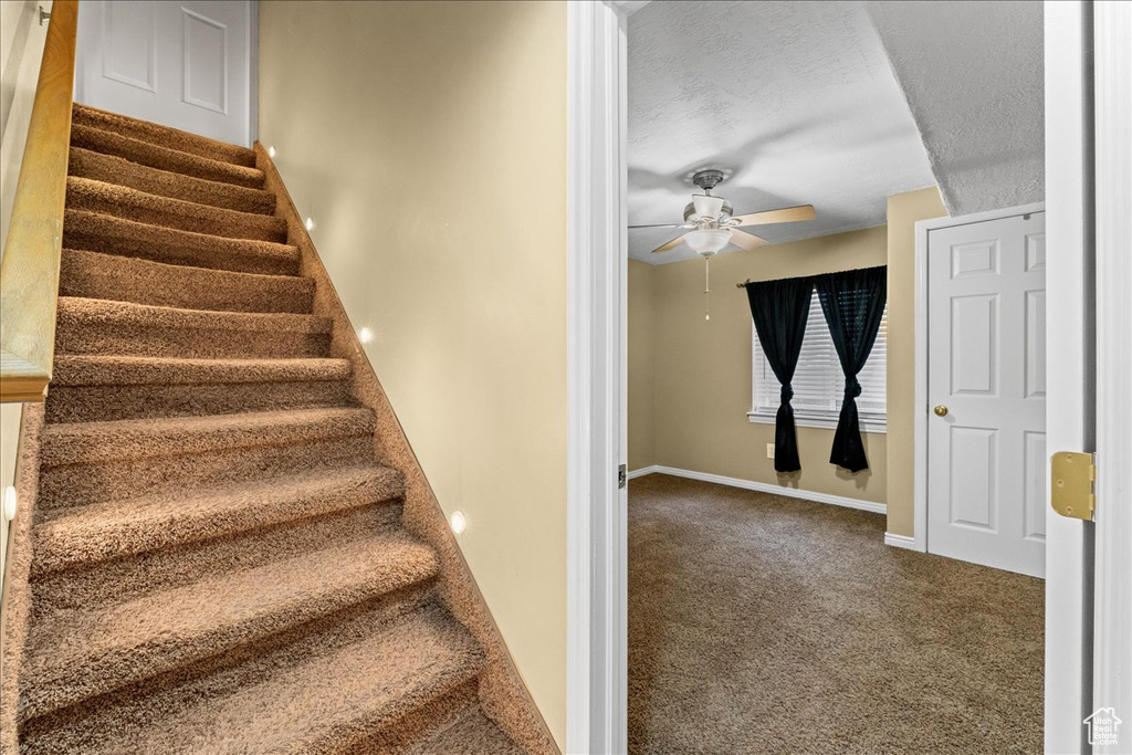 Stairway with ceiling fan and dark carpet