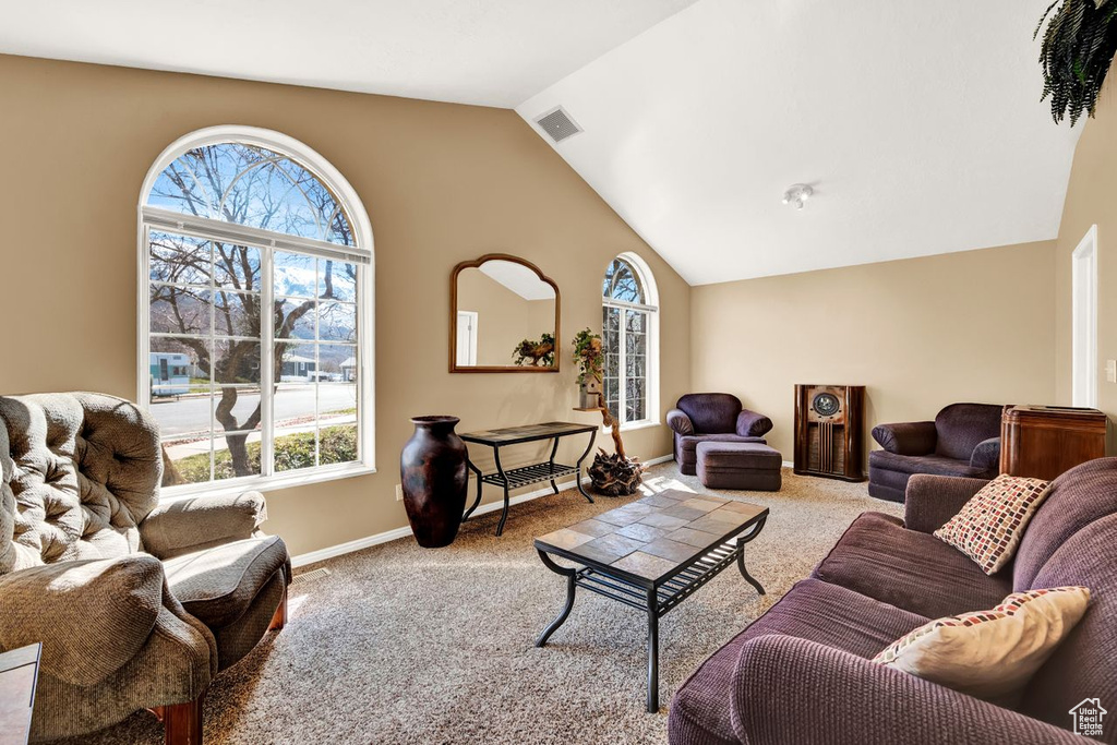 Carpeted living room featuring vaulted ceiling