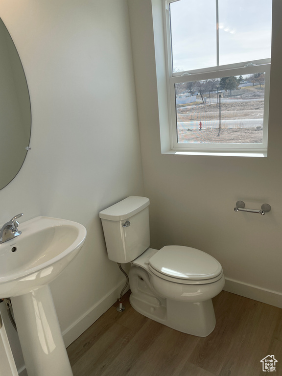 Bathroom with plenty of natural light, toilet, and hardwood / wood-style flooring