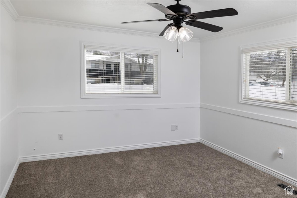 Empty room featuring carpet, ceiling fan, and ornamental molding