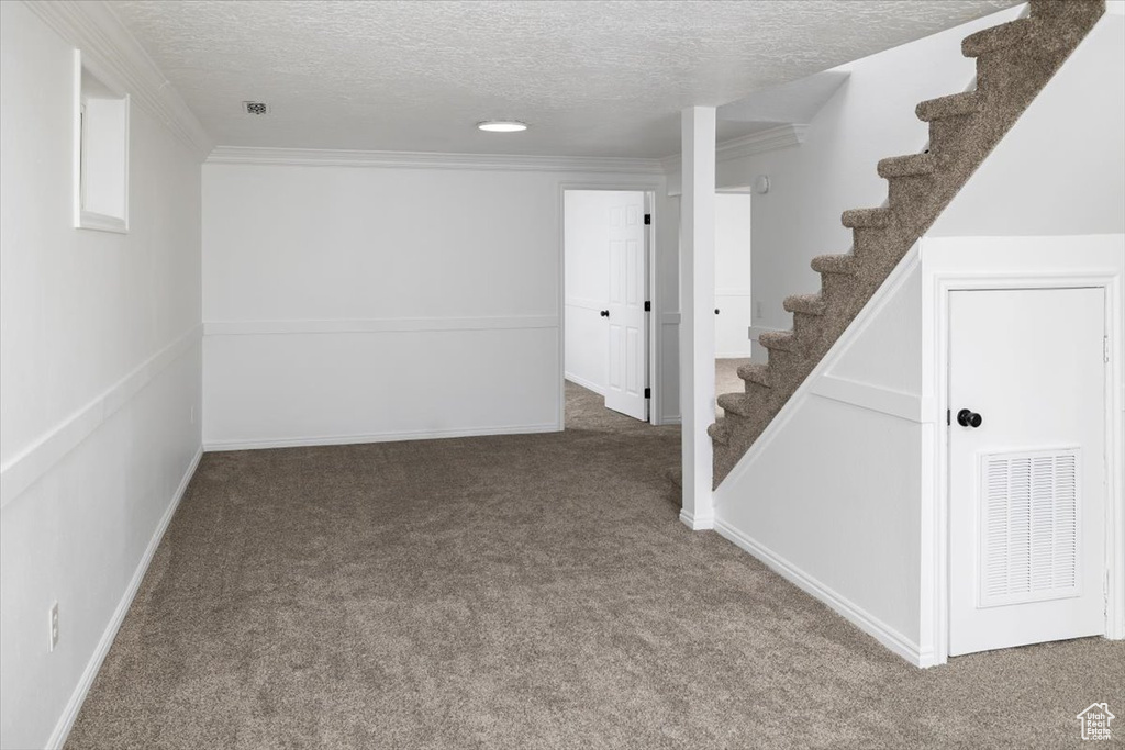 Basement with dark colored carpet, a textured ceiling, and crown molding