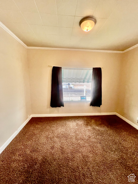 Empty room featuring carpet floors and crown molding
