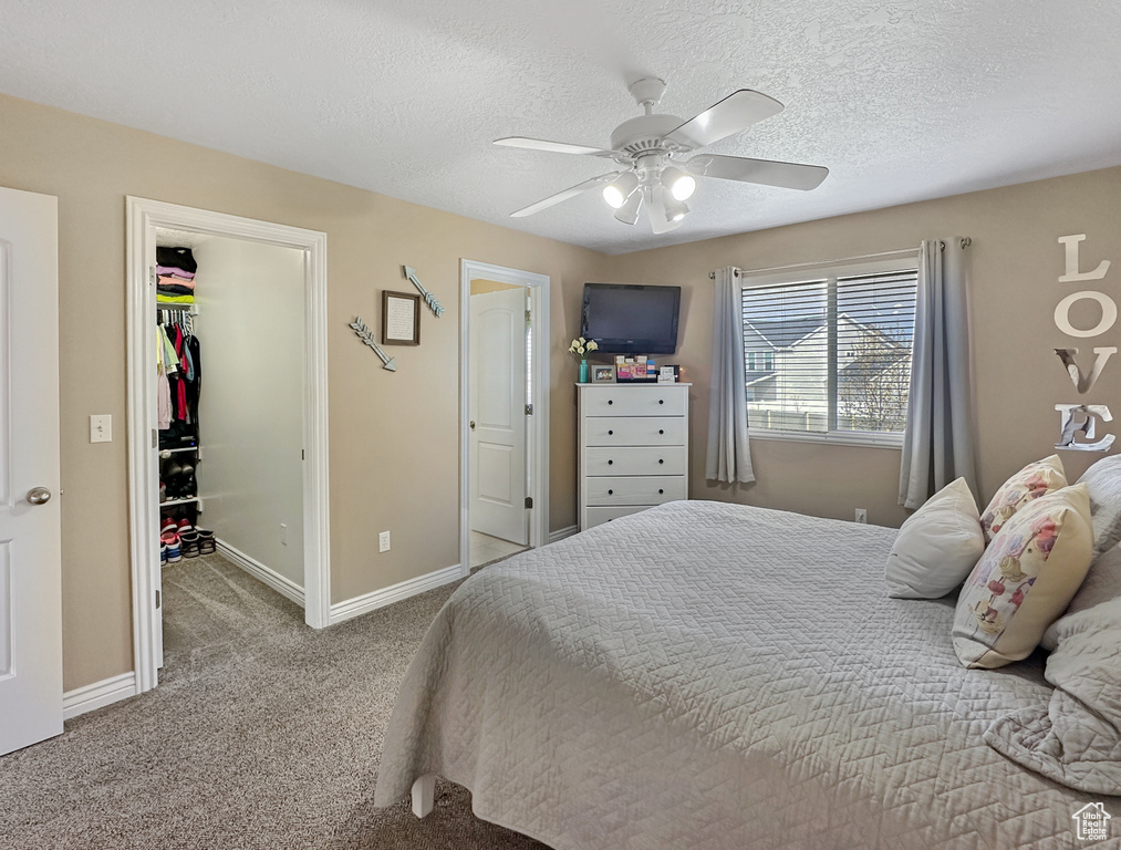 Carpeted bedroom with a walk in closet, a closet, ceiling fan, and a textured ceiling