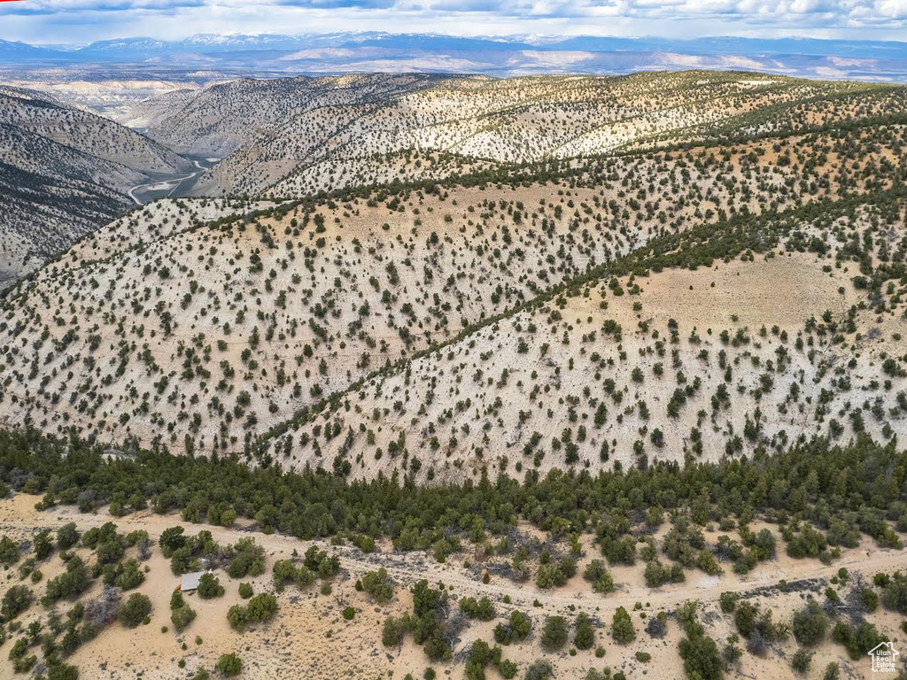 Drone / aerial view featuring a mountain view