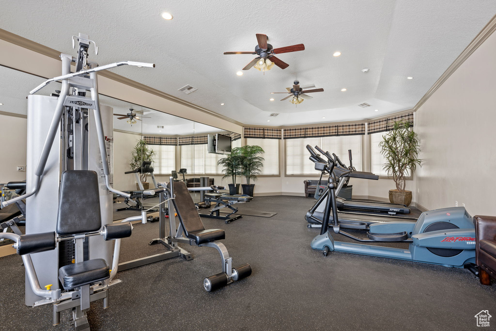 Gym with a healthy amount of sunlight, a raised ceiling, and ceiling fan