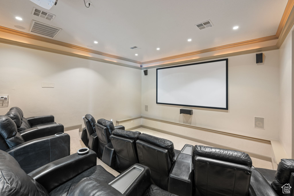 Cinema room featuring carpet and ornamental molding