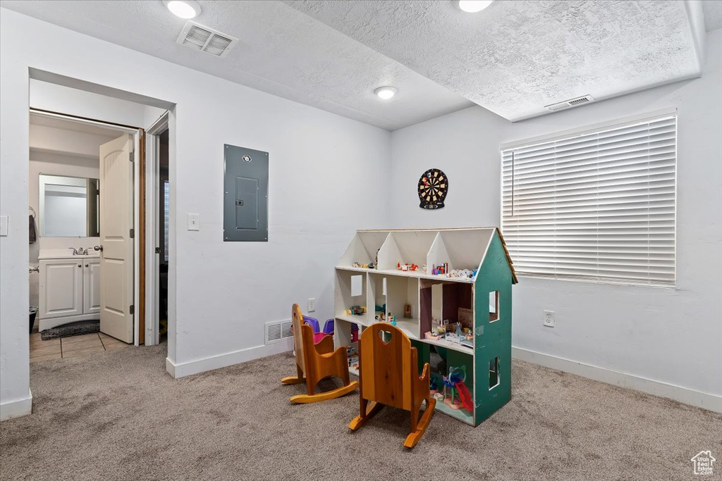 Game room with a textured ceiling and light colored carpet