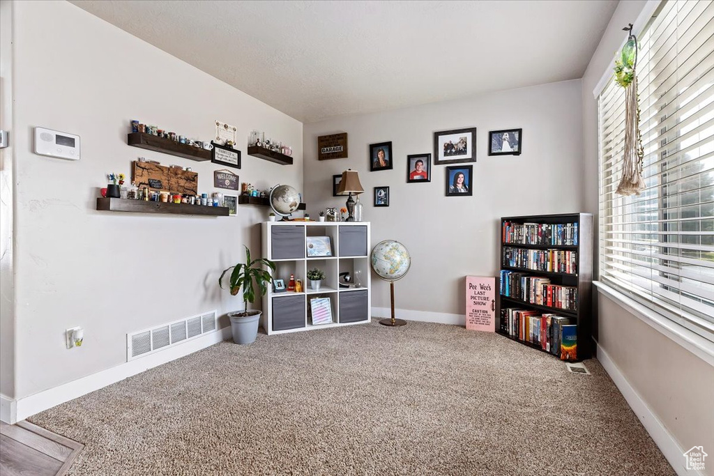 Recreation room featuring plenty of natural light and carpet