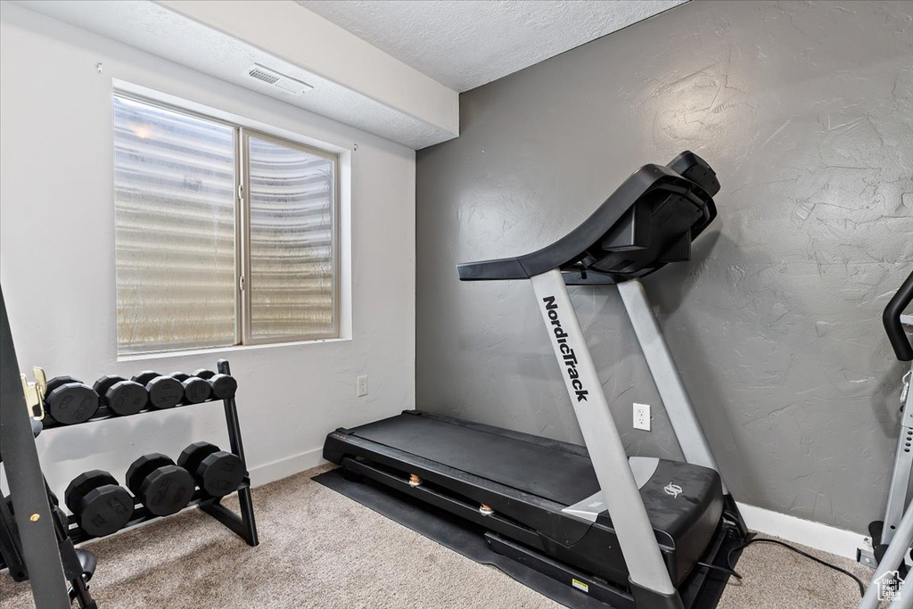 Workout room featuring plenty of natural light and carpet floors