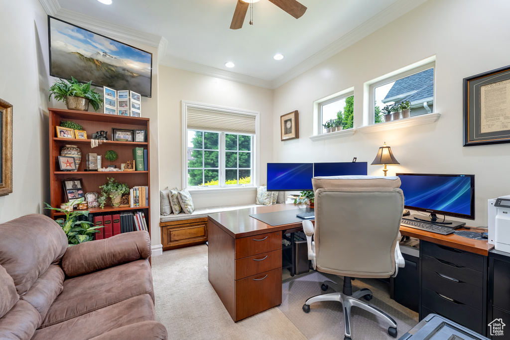 Carpeted office with ceiling fan and ornamental molding