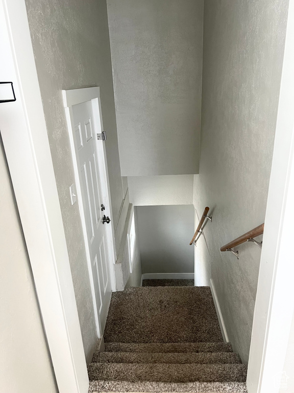 Stairway featuring carpet floors