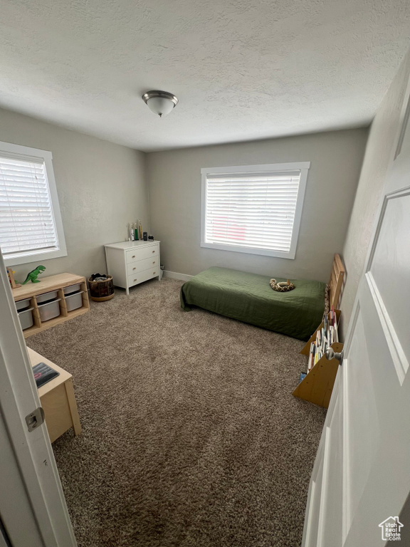 Bedroom featuring carpet, multiple windows, and a textured ceiling