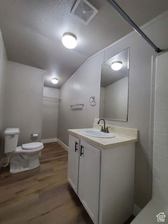 Bathroom featuring toilet, vanity, a textured ceiling, and wood-type flooring
