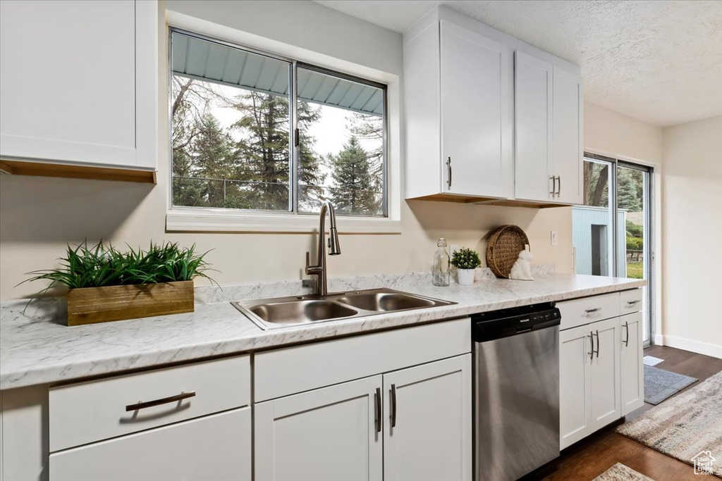 Kitchen featuring plenty of natural light, stainless steel dishwasher, white cabinetry, and dark hardwood / wood-style flooring