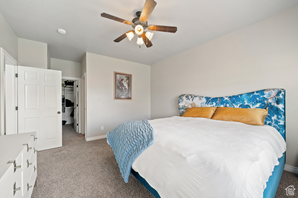 Carpeted bedroom featuring a spacious closet, a closet, and ceiling fan