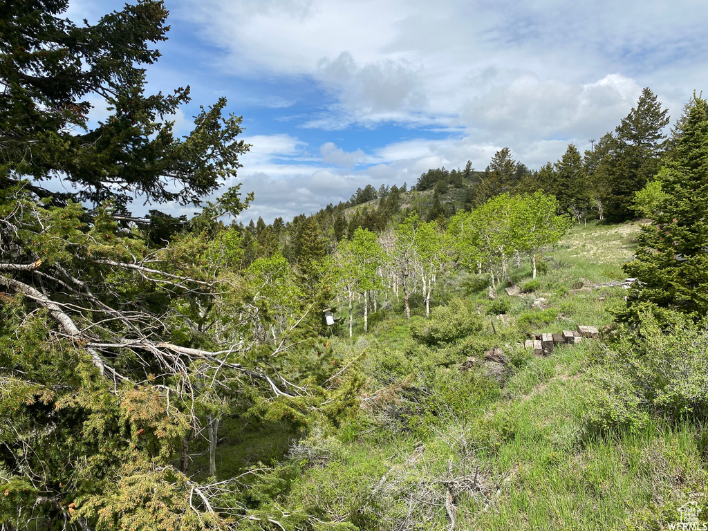 View of mother earth\'s splendor