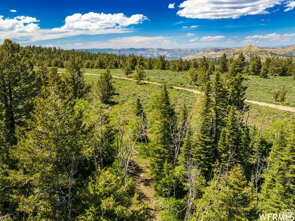 Drone / aerial view with a mountain view