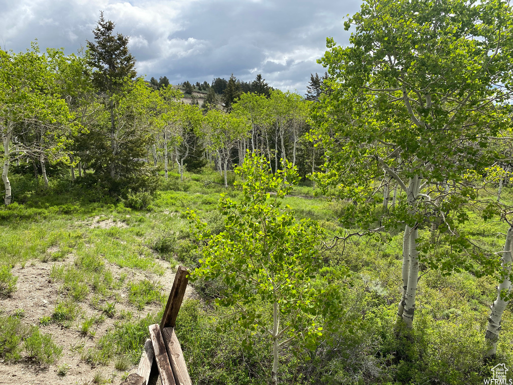 View of mother earth\'s splendor