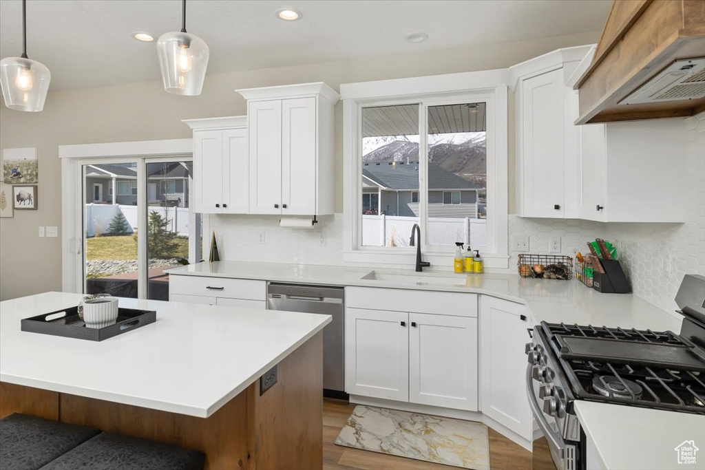 Kitchen featuring gas range, a healthy amount of sunlight, white cabinetry, and stainless steel dishwasher