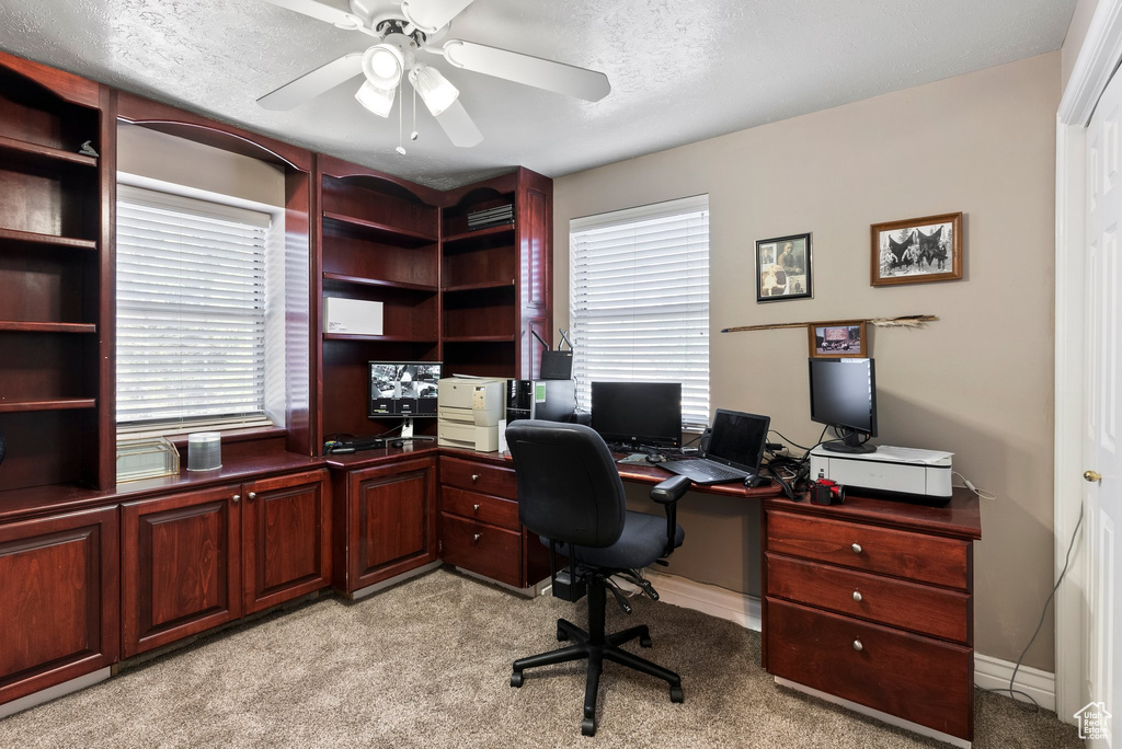 Office featuring a healthy amount of sunlight, light colored carpet, and ceiling fan